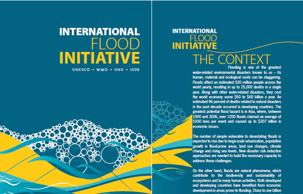 IFI Brochure
